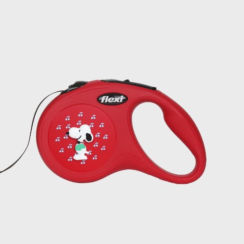 The Snoopy Leash
